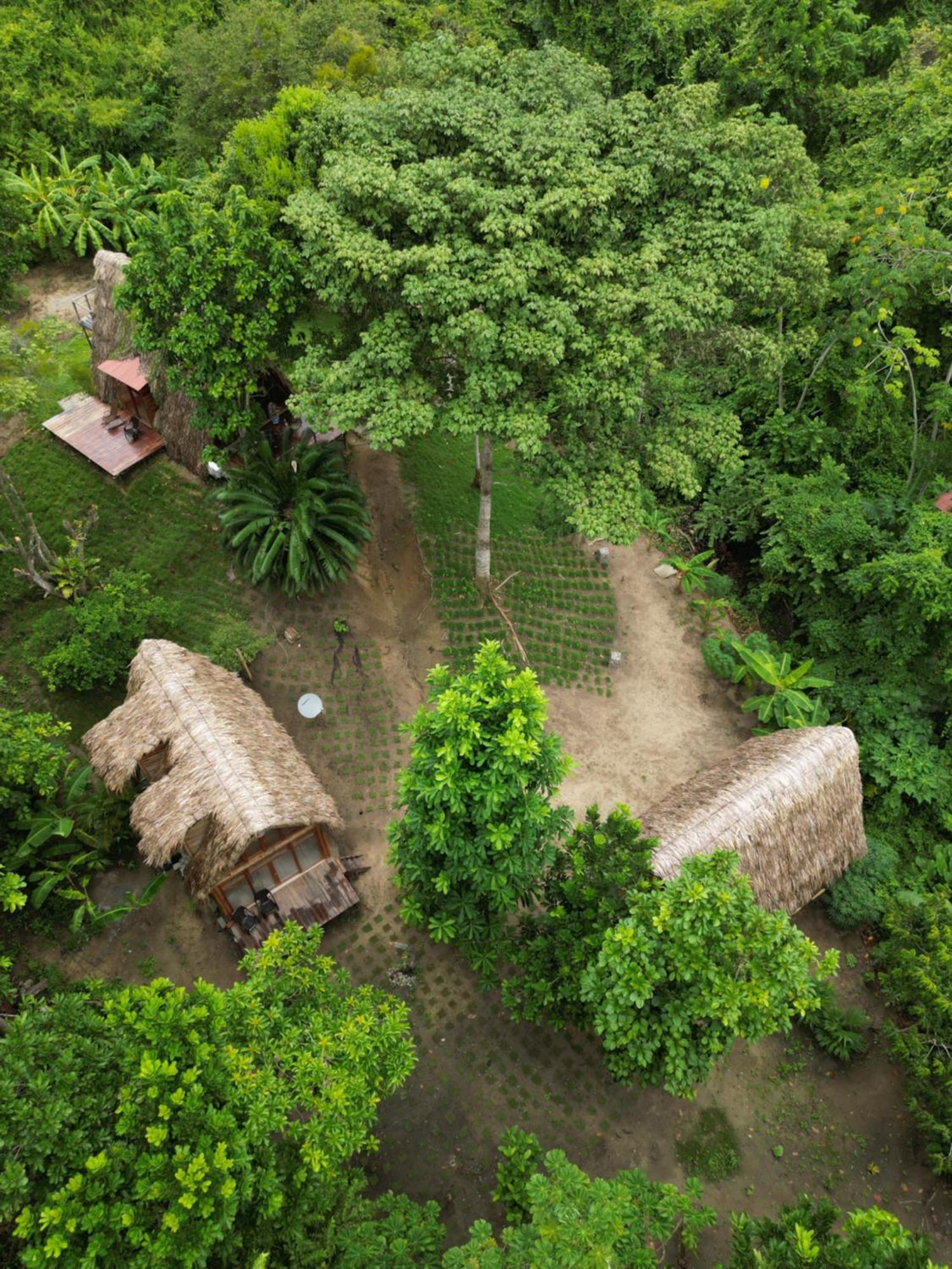 Tiny Houses Unique Tayrona - Dentro Del Parque Tayrona El Zaino Exterior foto