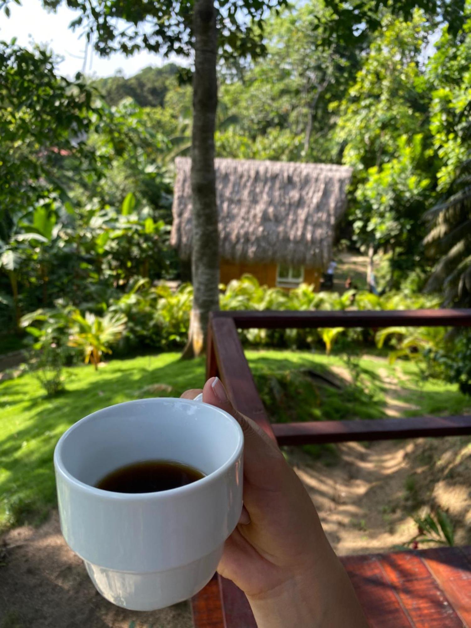 Tiny Houses Unique Tayrona - Dentro Del Parque Tayrona El Zaino Exterior foto